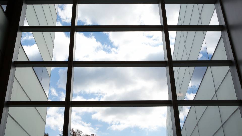 Photo of the sky as seen through windows of the Princeton neuroscience building.