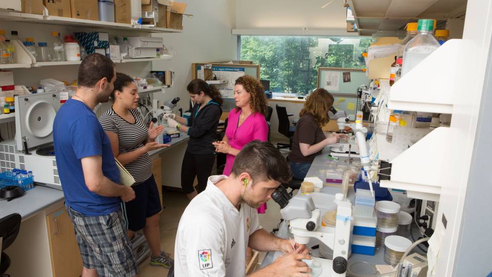 researchers working in lab
