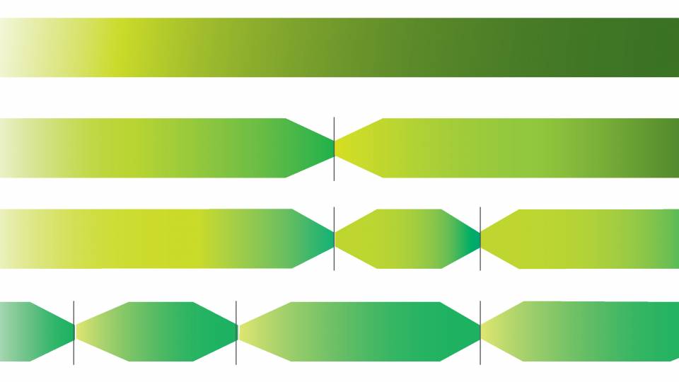 How experiences are stored in the brain