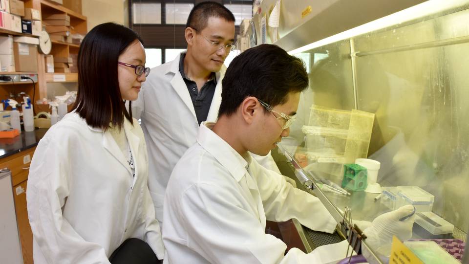 International students working with Yibin Kang in Kan'g lab