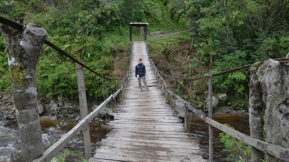 Jordan Salama standing on a wooden bridge