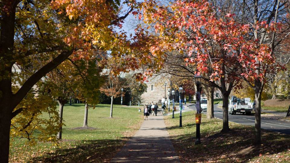 fall colors on campus