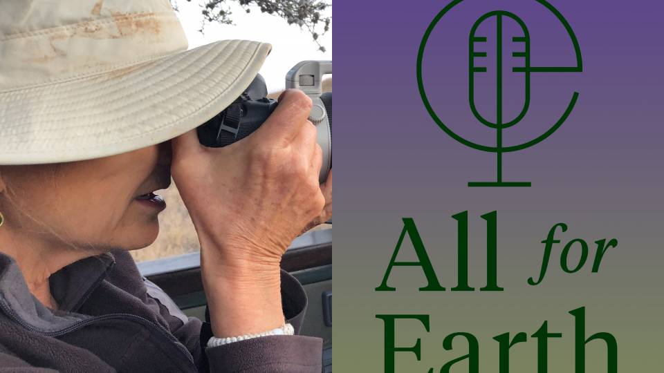 K. Carpenter wearing a wide brimmed hat and looking through binoculars