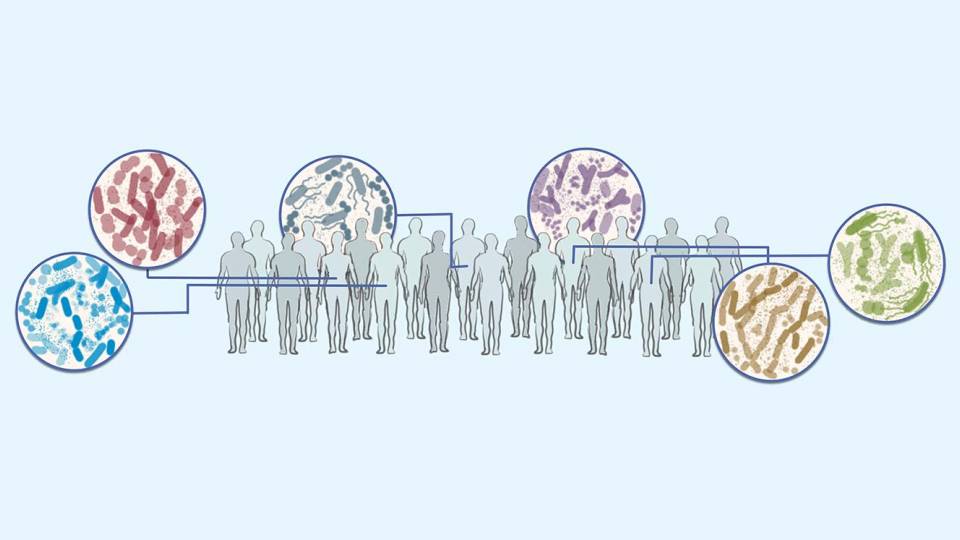 Diagram illustrating the diverse biomes of individual people