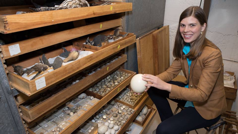 Mary Caswell Stoddard