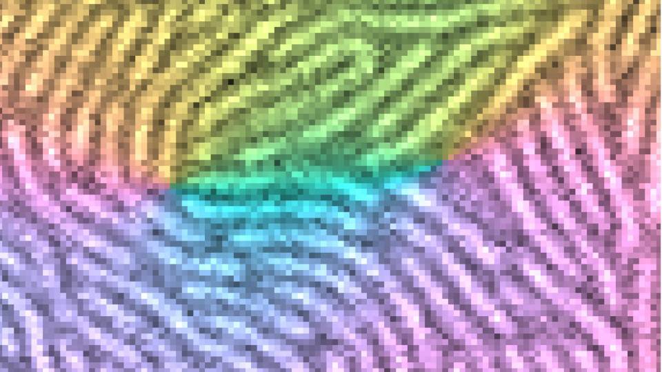 fingerprint-like pattern