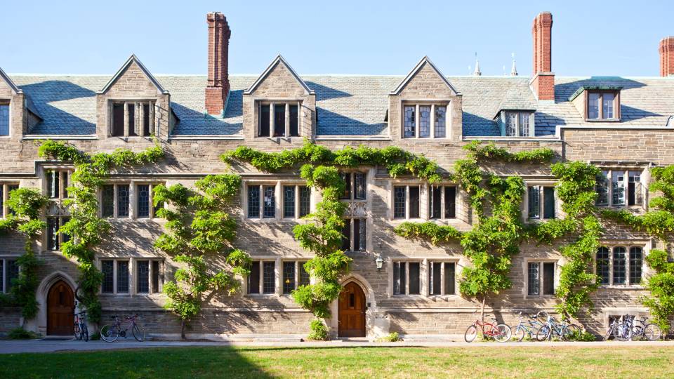 Dorms and ivy in the sun