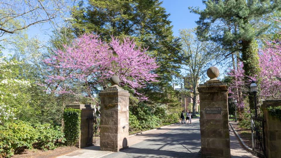 Prospect House gateway