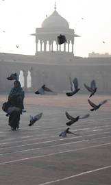 Morning in Front of the Mosque