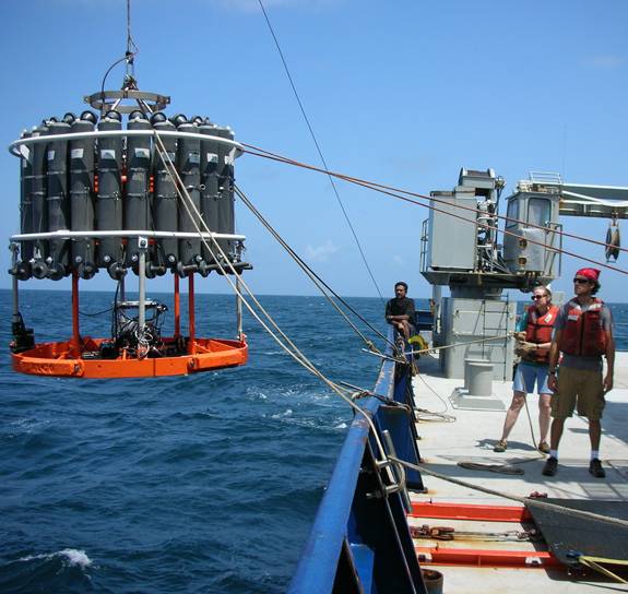 Amal Jayakumar and Bess Ward