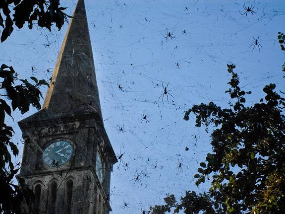 The Anglican Cathedral
