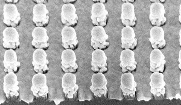 chou sensor crop_575