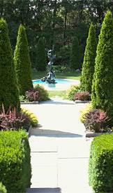 Summer Reflection index