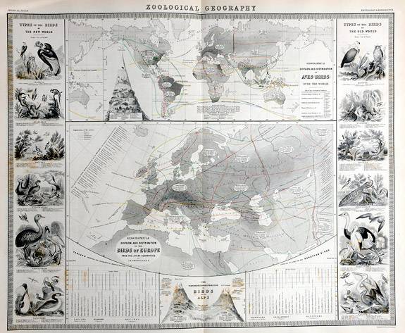 Thematic Maps Johnston