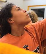 Weapons of Mass Construction 4 index