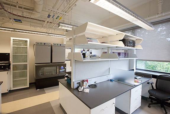 Summer Construction Hoyt