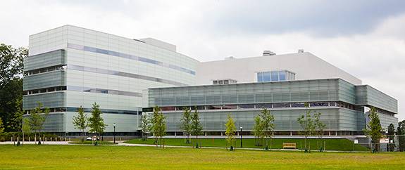 Summer Construction Neuroscience