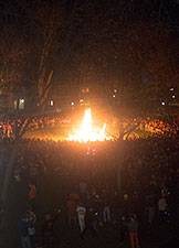 Bonfire Sunday noon index