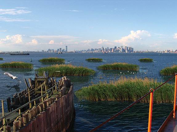 ResilientShores_wetlands