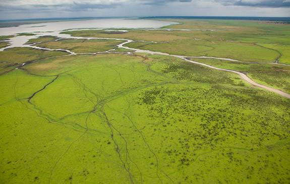 Gorongosa aerial