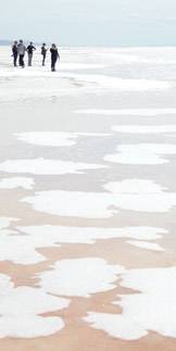 Graduate Students Spiral Jetty