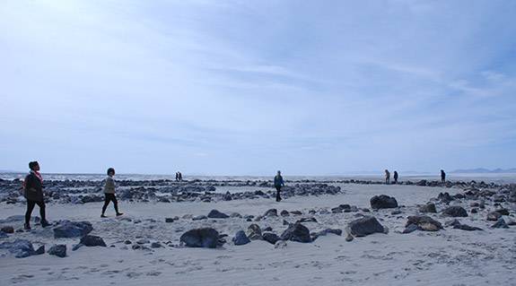Graduate Students Spiral Jetty