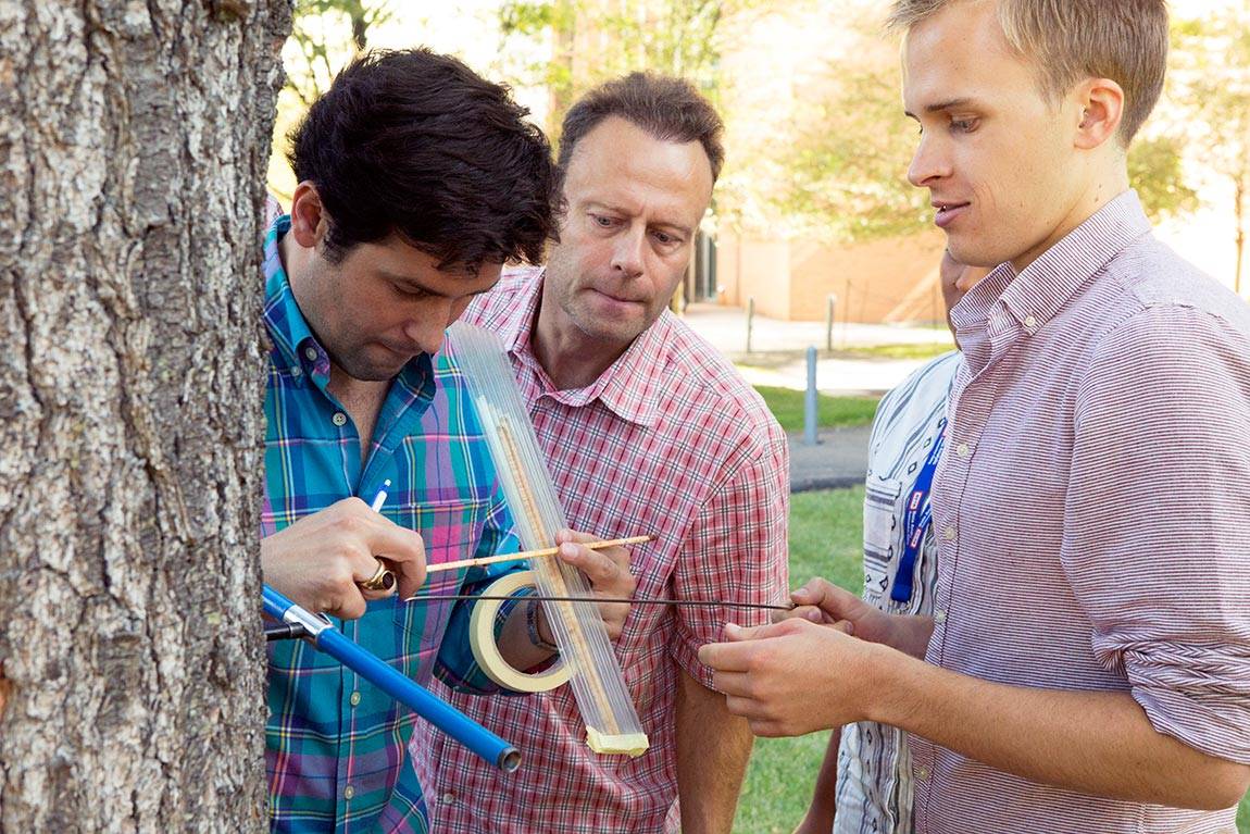Examining tree samples