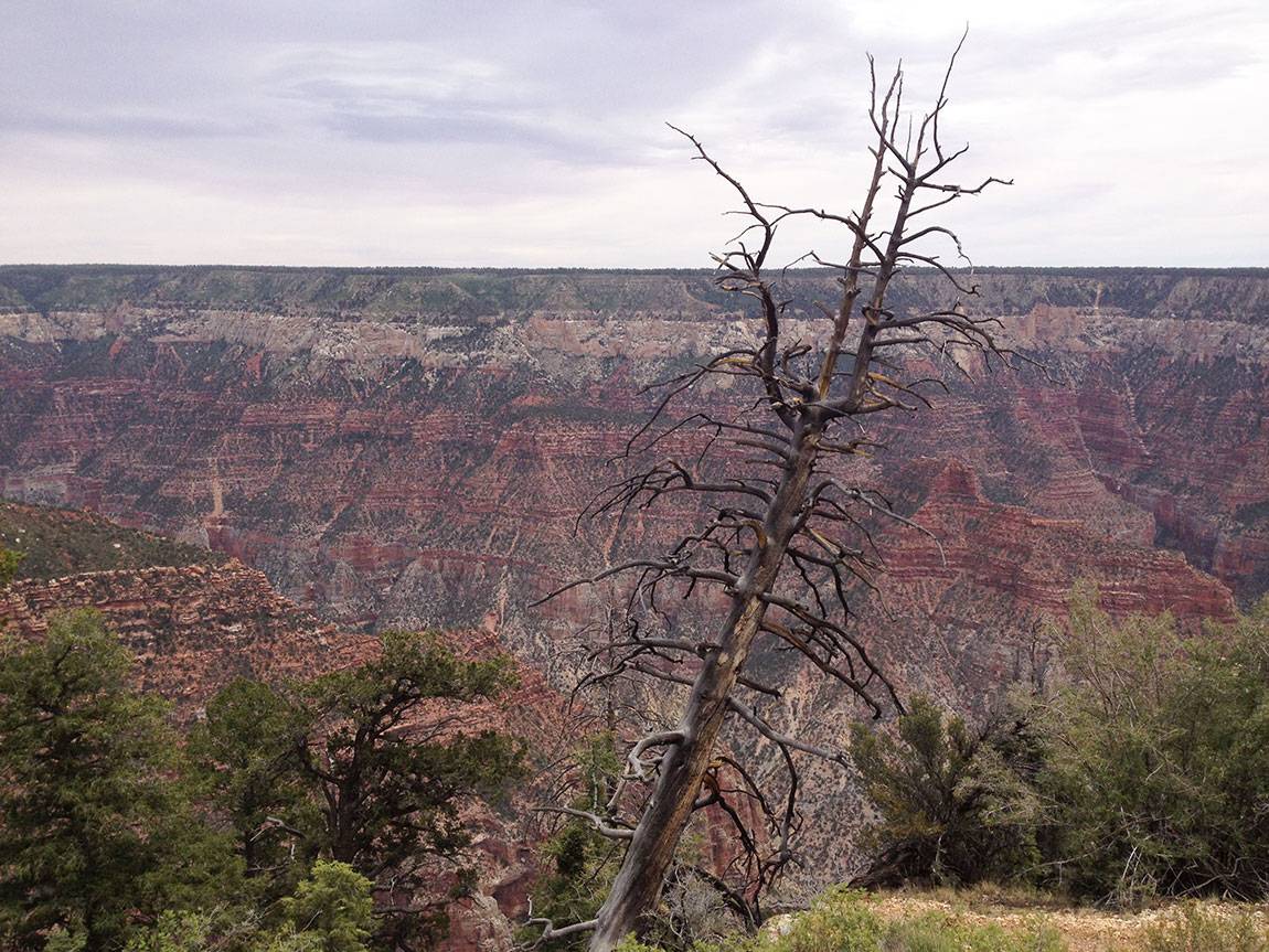 Anderegg_GrandCanyon