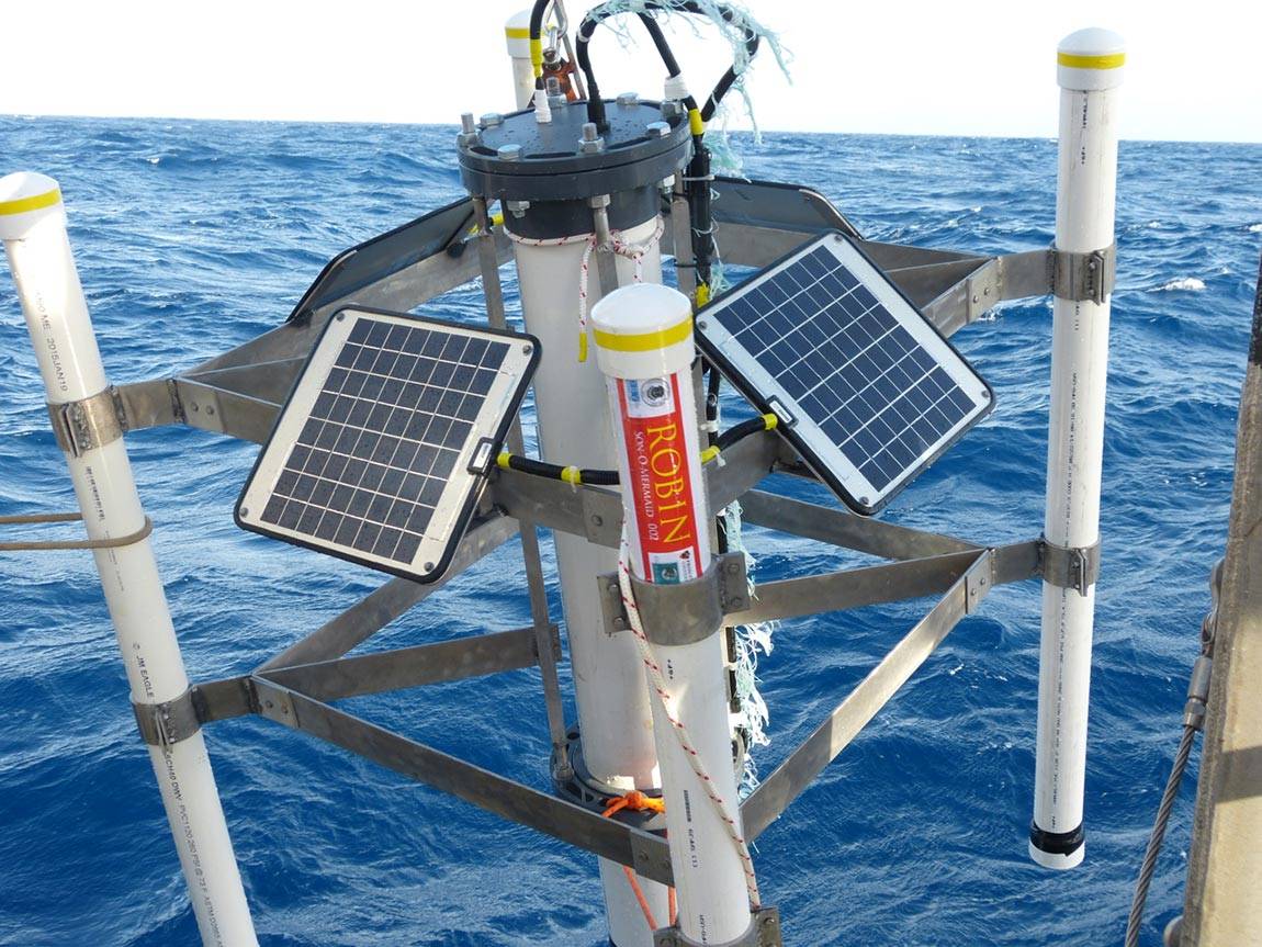 Frederik Simons' Son of Mermaid