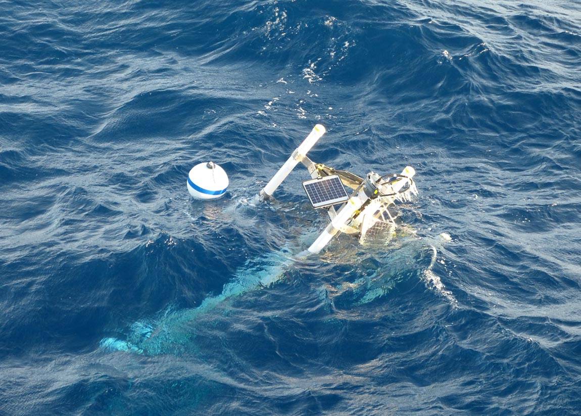 Frederik Simons' Son of Mermaid