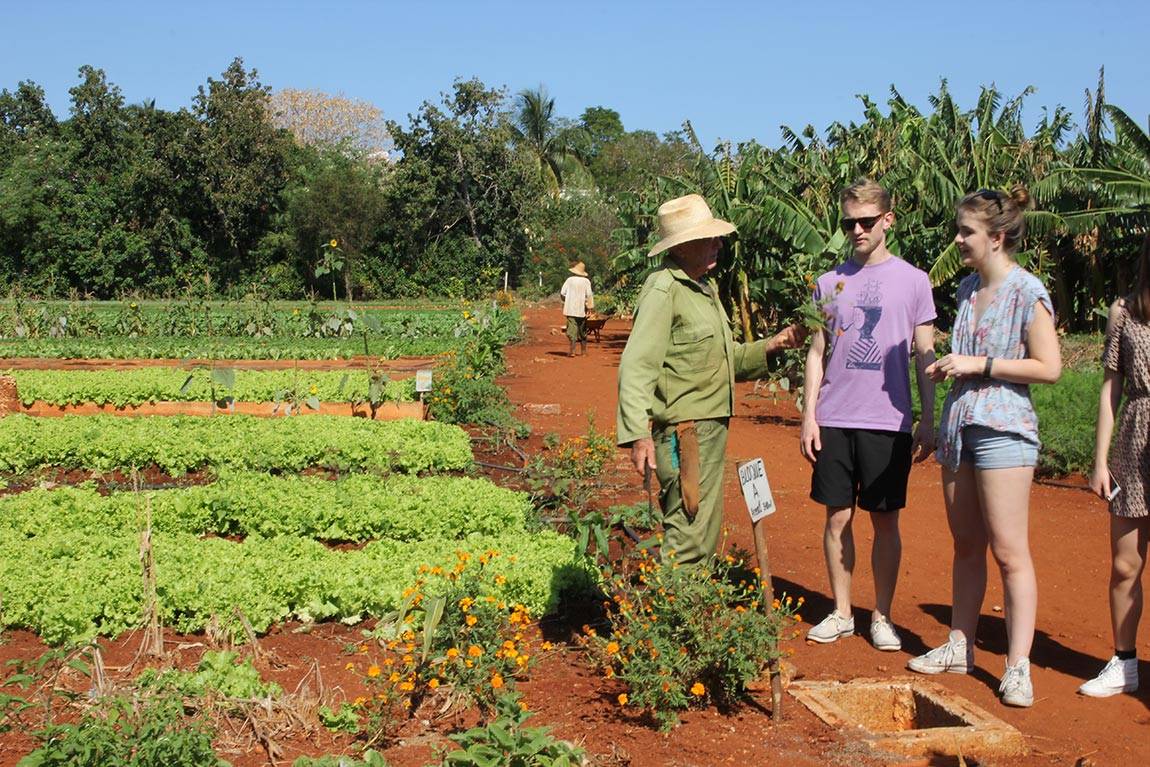 Cuba Art and Architecture Lily Zhang