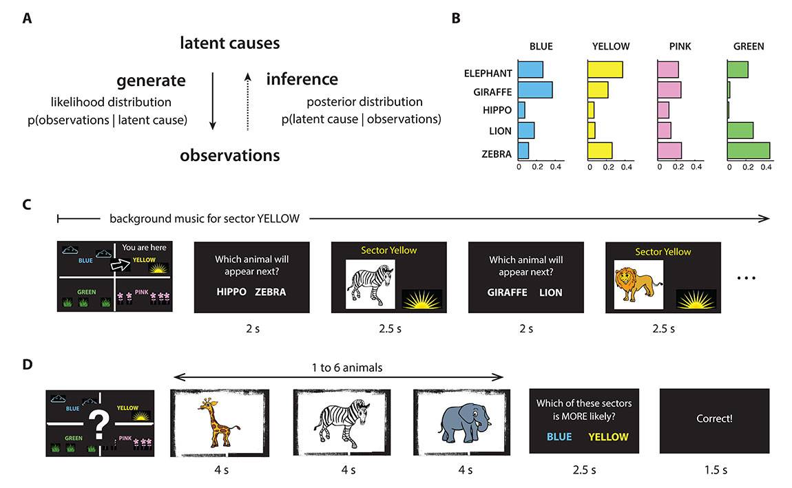 Safari brain study map, brain and slide