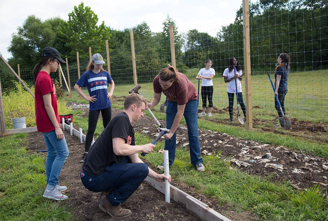 Orientation 2016 students working at Farminary in Lawrenceville