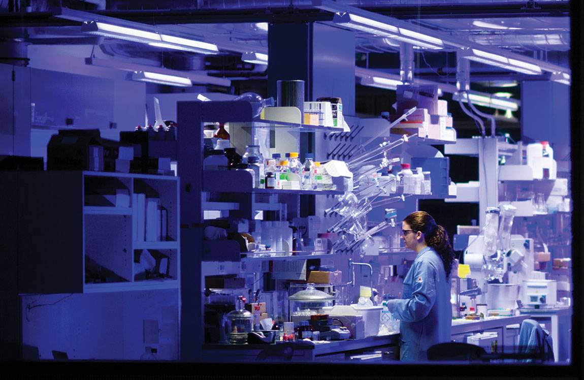 Bright future: David MacMillan lab