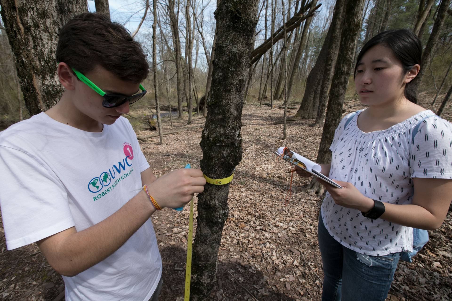 Sarah Dinovelli and Bozhidar Stankovikj studying tree