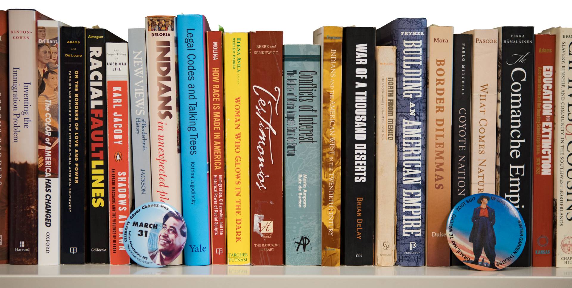 Books on Rosina Lozano's bookshelf