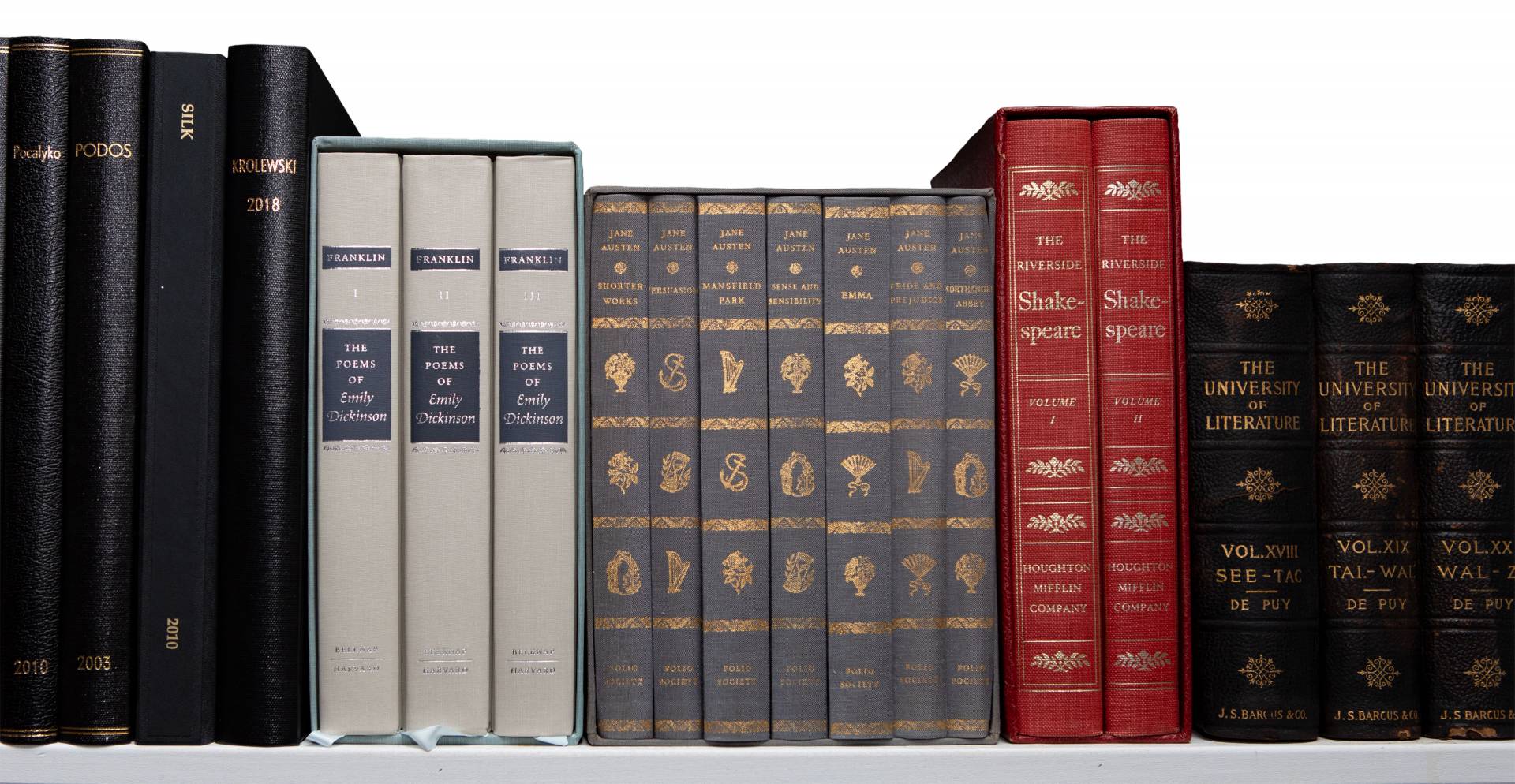 Books on Diana Fuss's bookshelf