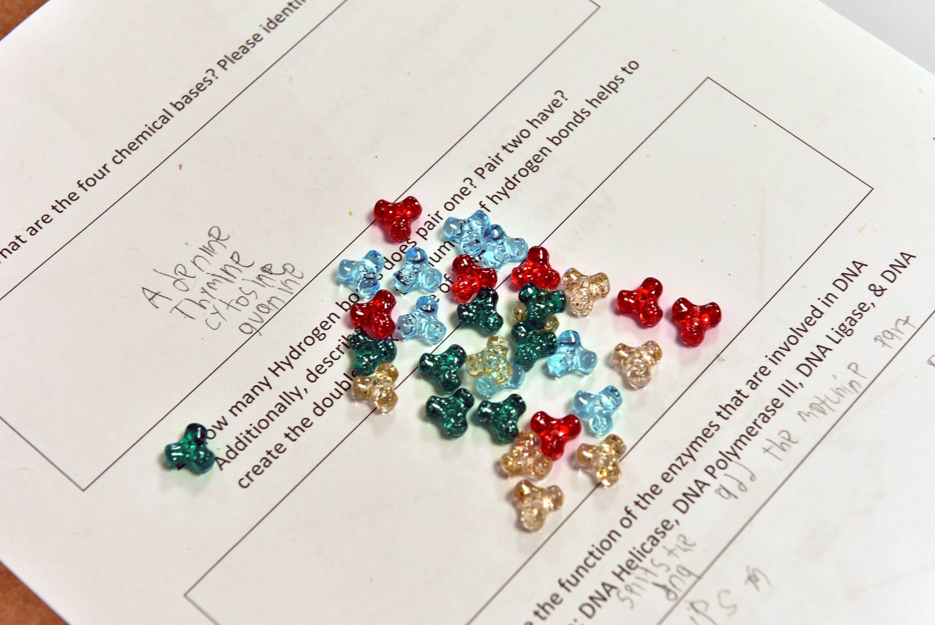 STEAM Camp DNA bracelet activity