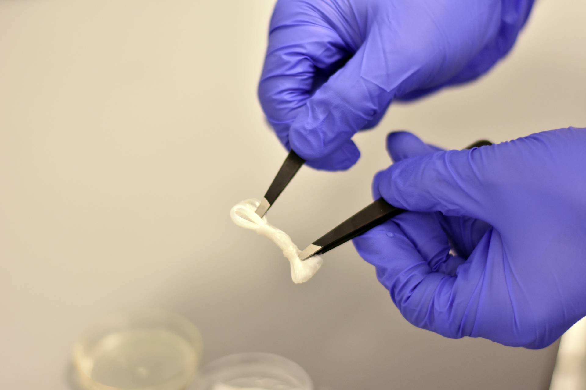 A sample of Blackwell's artificial ligament in development