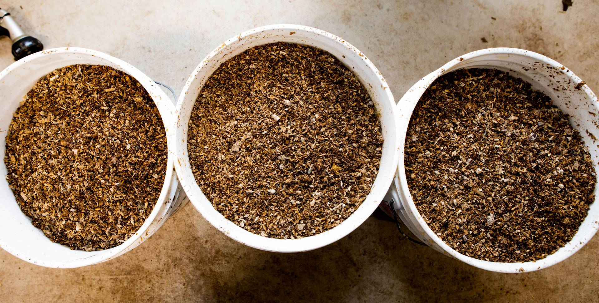 Three white buckets filled with biodigester waste