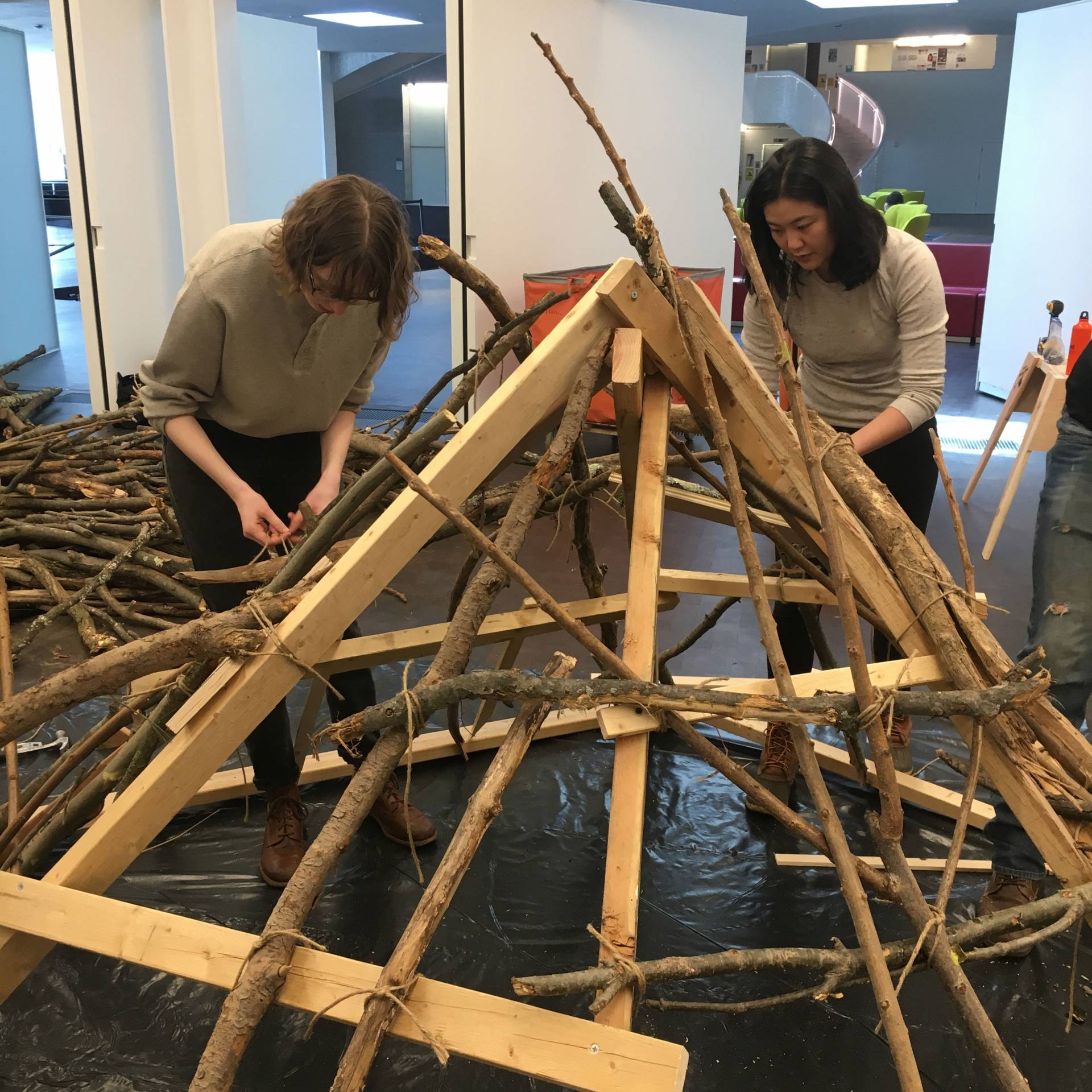 Student rebuild a beaver lodge
