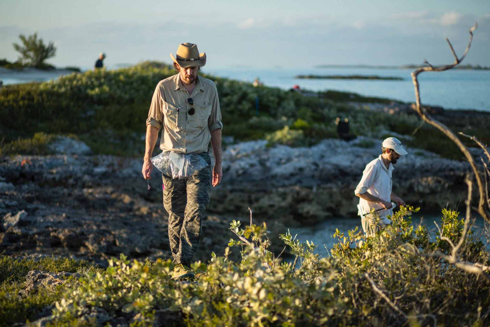 Reseachers on Bahamas