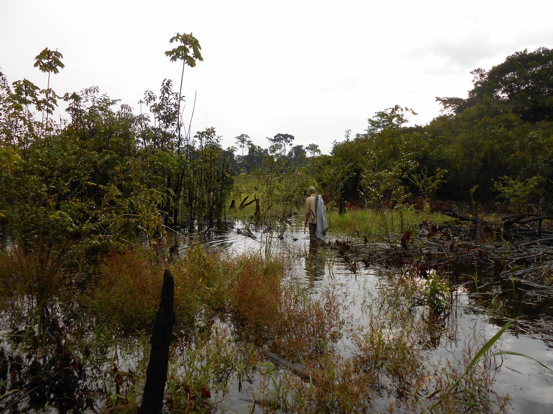 Socolar walks through a flooded area