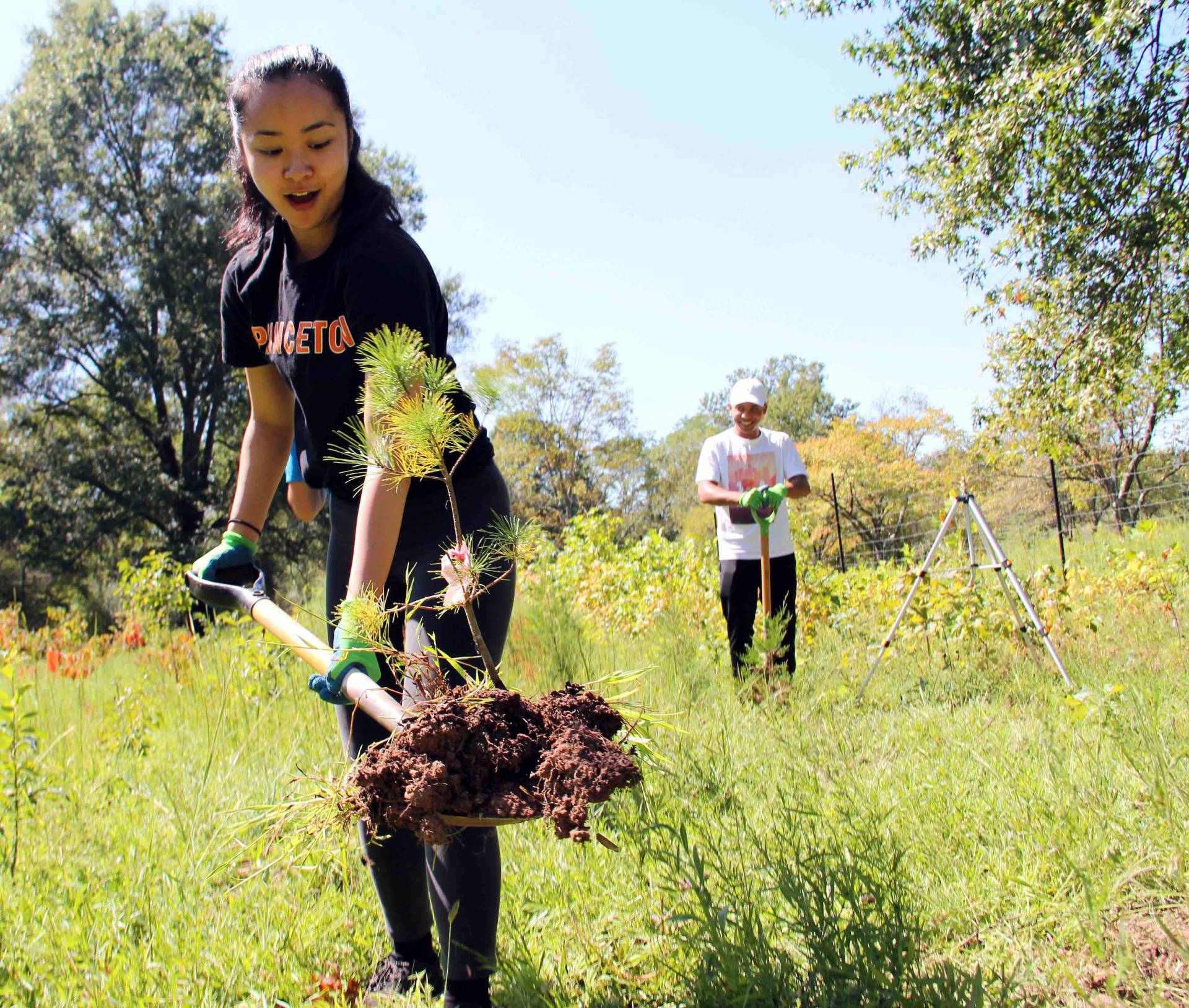 A student uses a shovel