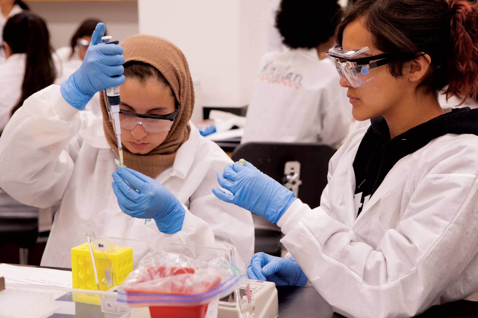 2 students work with pipettes in a lab