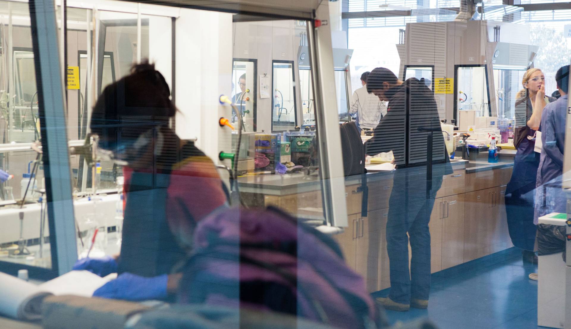 students working in a lab
