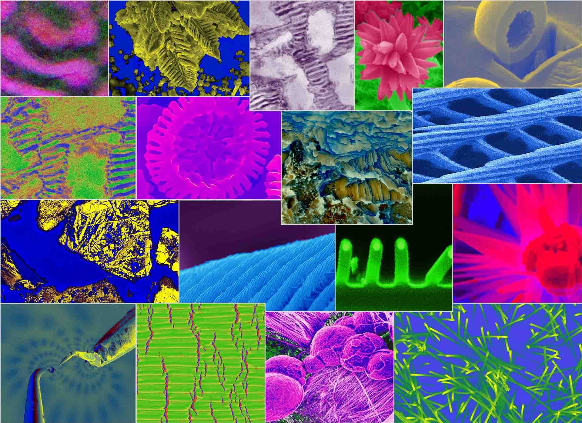 A patchwork of brightly colored images