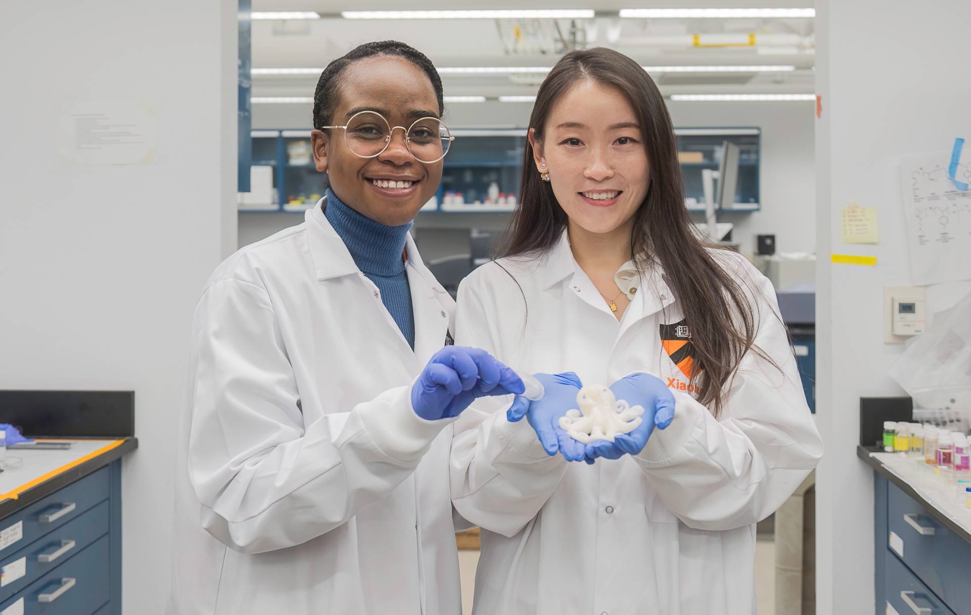 Researchers Néhémie Guillomaitre and Xiaohui Xu 
