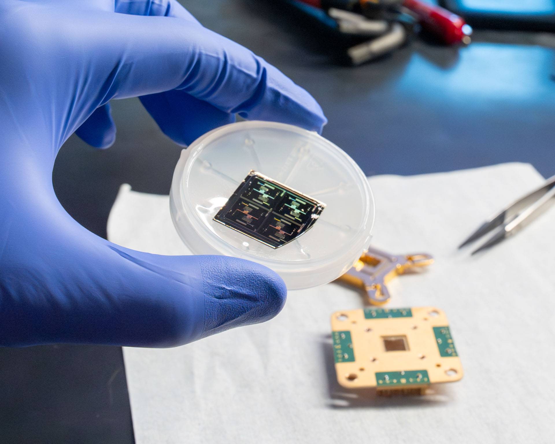 In the clean room, a gloved hand grasps a plastic disc holding a fabricated chip.