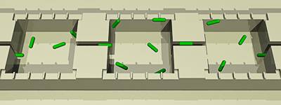 microscopic chambers